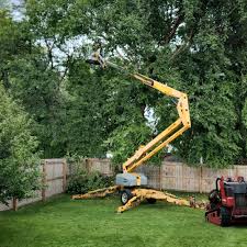 Grass Overseeding in Fremont Hills, MO